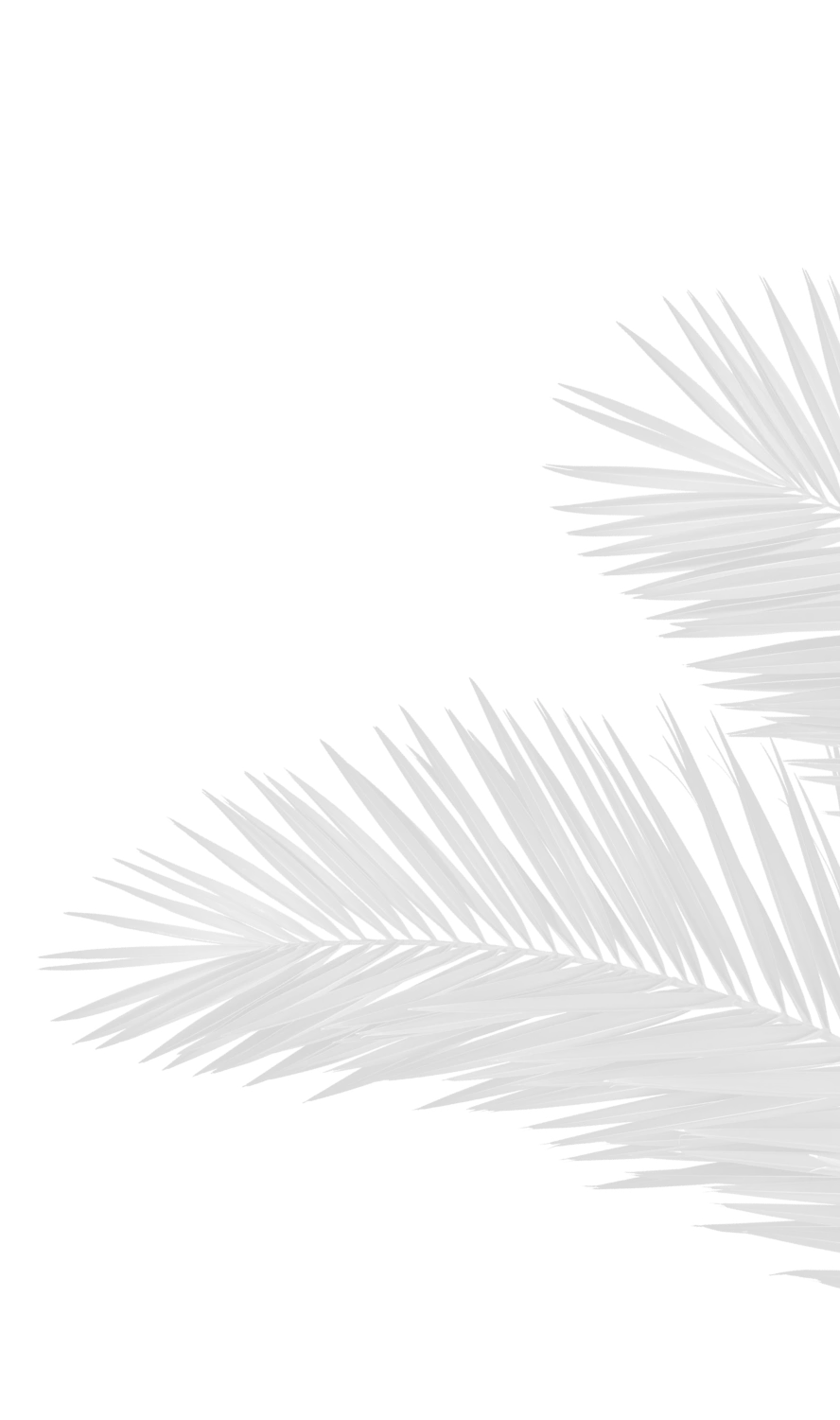 Islandway leaf